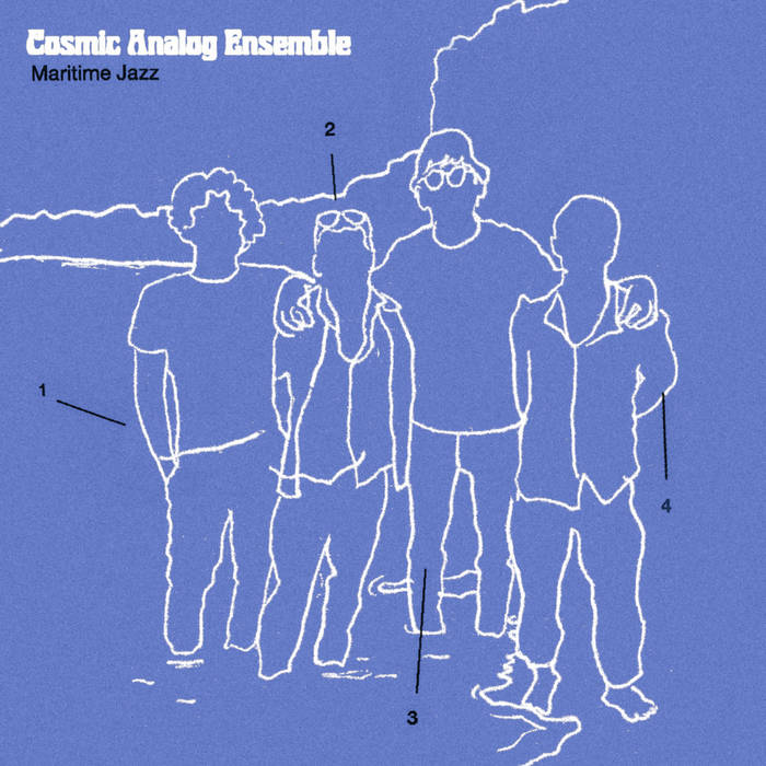 Cosmic Analog Ensemble